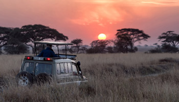 10 Days Best Of Tanzania Southern Circuit Safari