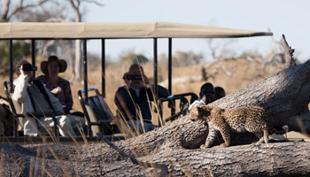 11 Days  Standard Wildlife Adventure Safari