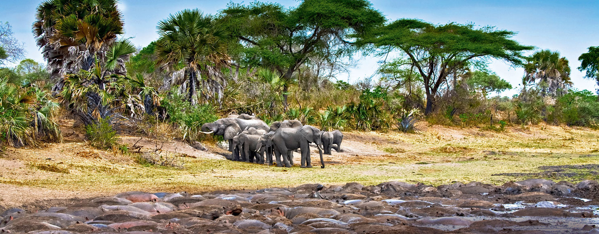 4 Days Tanzania Western Safari to Katavi