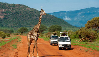 4 Days Tanzania Western Safari to Mahale