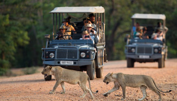 4 Days Tanzania Western Safari to Mahale