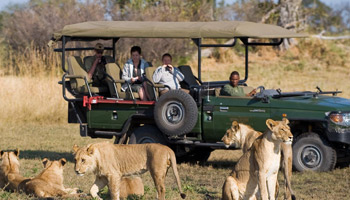 5days Tanzania Safari To Mikumi And Nyerere