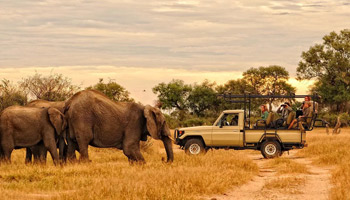 7 Days Tanzania Western Safari to Mahale and Gombe