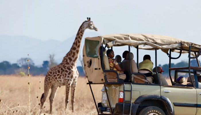 7 Days Tanzania Heritage Wildlife Safaris