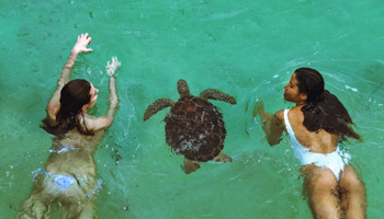 9 Days Honeymoon Safari - Wildebeest Migration & Zanzibar Beach Holiday