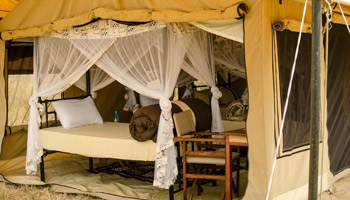 9 Days Tanzania Budget Camping Safaris