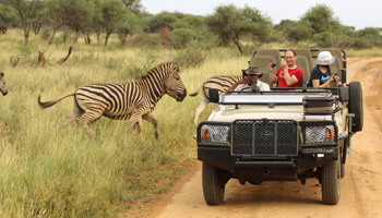 9 Days - Tanzania Wildlife & Cultural Dream Safaris