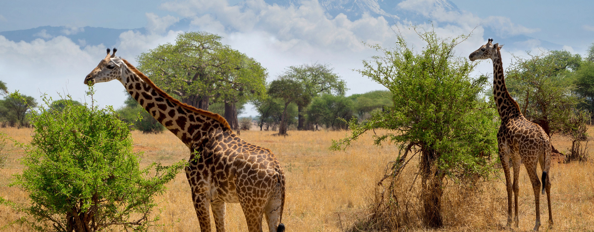 Arusha National Park