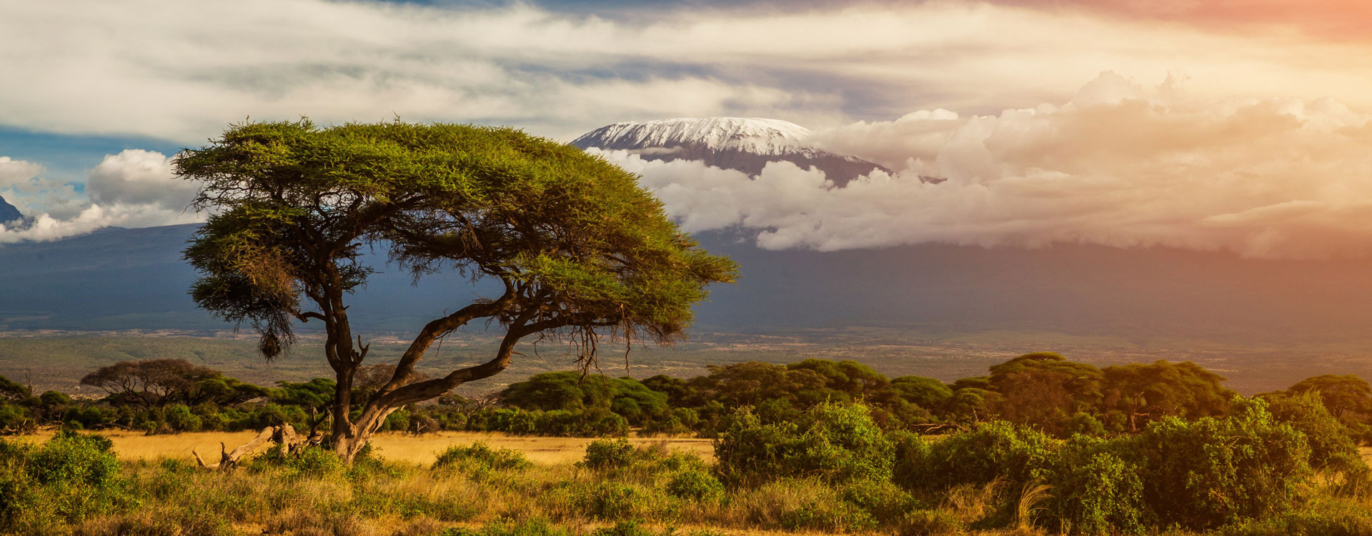 Kilimanjaro Day Trip