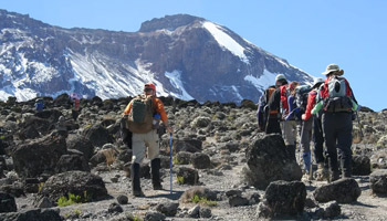 7 Days Lemosho Route