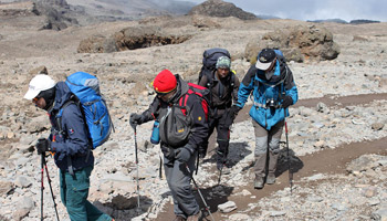 7 Days Lemosho Route