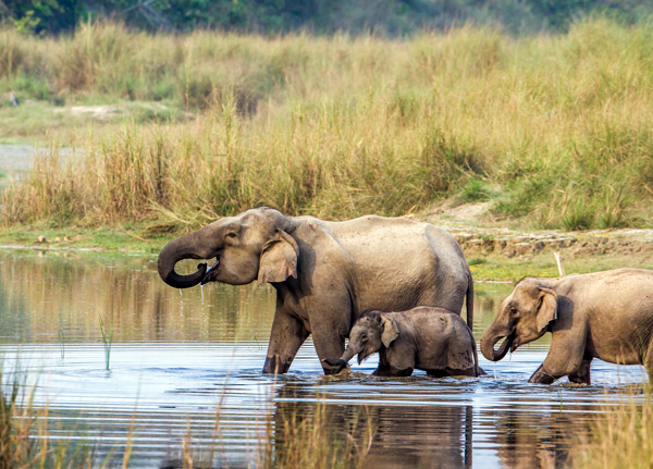 Mkomazi National Park