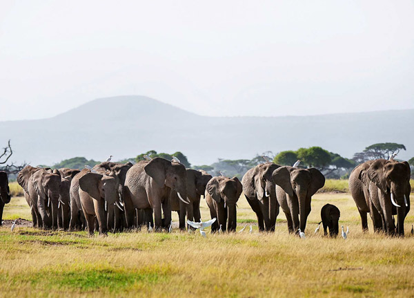 Mount Kilimanjaro National Park