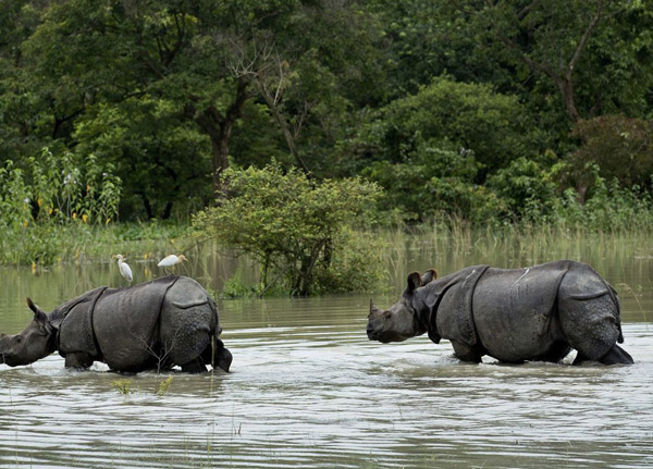 Saadani National Park