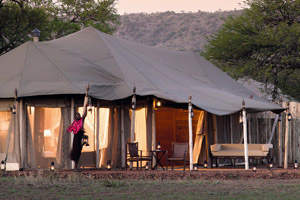 Serengeti Osero Tented Camp